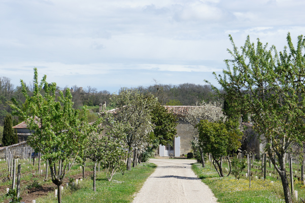 Tertre Roteboeuf